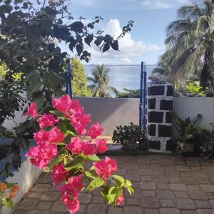 a view of the ocean from a garden with pink flowers at Saloon lodge in Antsiranana