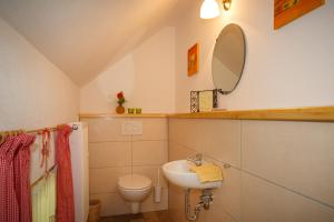 a bathroom with a sink and a toilet and a mirror at Ferienhaus Hallweger inkl. Chiemgaukarte in Ruhpolding +10 photos