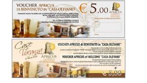 a flyer for a store with a picture of a house at La Petie Maison di Apricus in Olevano Romano