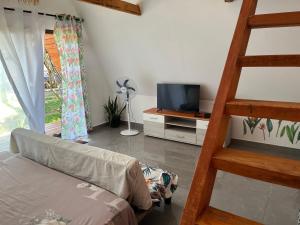 a living room with a bunk bed and a television at Le ZANATANY BEACH in Tamatave