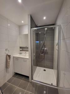 a bathroom with a shower and a sink at Gîte Ciel - 1-8 pers, au calme, à 20 mins du Puy-de-Dôme, Vulcania et le volcan de Lemptégy in Gelles +26 photos