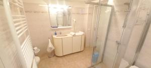 a bathroom with a shower and a sink and a toilet at Casa Floriani Fiavè-Comano Terme green in Fiavè +41 photos