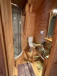 a bathroom with a toilet and a glass sink at Chambre de charme in Berbezit