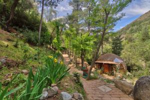 a garden with a gazebo in the woods at Cascada de las Animas in San Alfonso