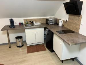a small kitchen with a sink and a microwave at Appartement asskaf spacieux T2 in Cambrai +13 photos