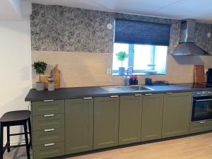 a kitchen with green cabinets and a sink and a window at Skolmästarevägen Åldersgräns 30 in Falun +15 photos
