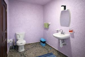 a purple bathroom with a toilet and a sink at Hospedaje Rayo De Sol in Tepoztlán +2 photos