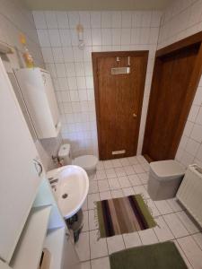 a small bathroom with a sink and a toilet at Rigó Nyaralóház in Lakitelek +58 photos