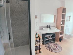 a bathroom with a shower with a sink and a toilet at Mi casa es su casa in Ghent