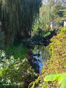 a painting of a river with trees and grass at Galamares Nest in Sintra