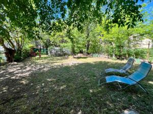 two blue chairs sitting in the grass under a tree at Kicsi Rigó Nyaralóház in Lakitelek
