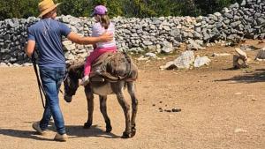 a man is helping a young girl on a donkey at Villa Suzi - Family Farm Stay with Donkeys, Pool and Sea View near Rijeka in Šmrika +75 photos