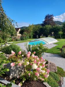 a garden with pink flowers and a swimming pool at GÏTE LA DANSE DES BICHES in Ranspach