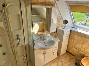 a bathroom with a sink and a shower at Beba in Heřmanovice