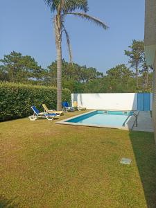 a swimming pool with two chairs and a palm tree at Casa do Sol - Entre o Mar e o Pinhal in Apúlia