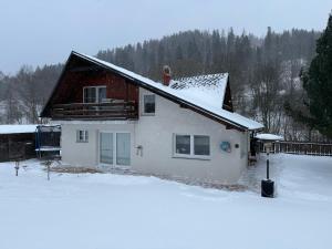 a house with snow on the ground in front at Beba in Heřmanovice