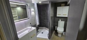a bathroom with a toilet and a sink and a mirror at hello dole in Dole +8 photos