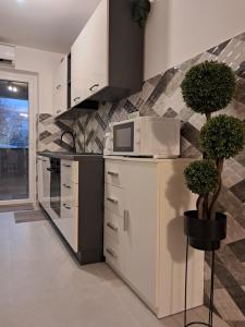 a kitchen with a microwave and two potted plants at Holiday Home Manuela in Fažana