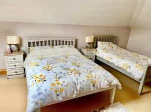 a bedroom with two beds and two night stands at Country Hideaway in Limerick