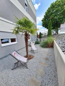 two chairs and a palm tree in front of a building at Hotel Hohenloher Tor in Bretzfeld