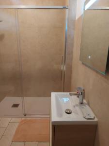a bathroom with a sink and a shower at 20 Rue Châtel in Verdun-sur-Meuse