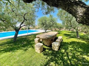 a stone bench in the grass near a swimming pool at La Casetta In Piscina in Matera