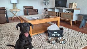 a black dog sitting on a rug in a living room at Stille Uitsig Hazyview in Hazyview