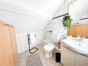 a bathroom with a toilet and a sink at Duplex de Charme - Turckheim - Route des Vins in Turckheim +18 photos