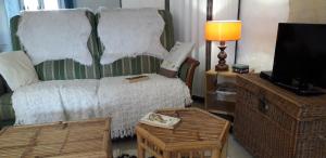 a living room with a couch and a tv at Le Montadou in Coucouron