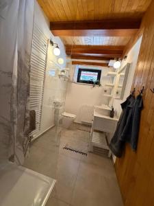 a bathroom with a toilet and a sink and a shower at Jirkova chata in Lipova Lazne +15 photos