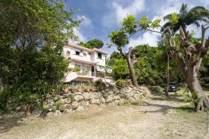 a house with a stone wall and trees at Villa Les Violettes in Morne-à-lʼEau +16 photos