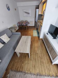 a living room with a couch and a table at Apartamento Riglos Candanchu in Candanchú