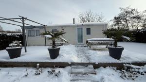 a house with two potted plants in the snow at Andes in Dronrijp