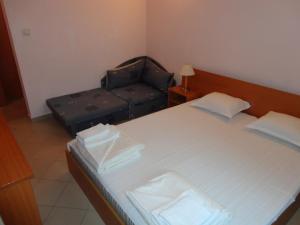Легло или легла в стая в Sargas Sozopol