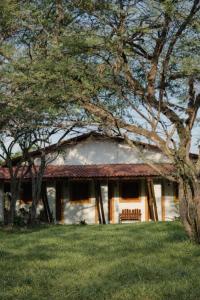 a white house with a bench in the grass at A Flor Pousada in Garanhuns