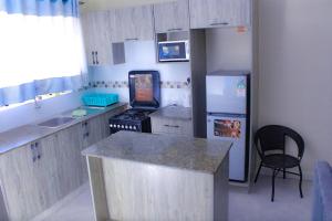 a kitchen with a counter and a stove and a refrigerator at Aurora Loisse Suites in Nakuru