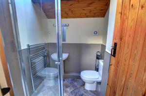 a small bathroom with a toilet and a shower at 2 Bed in Llandinam oc-waa377 in Llandinam +10 photos