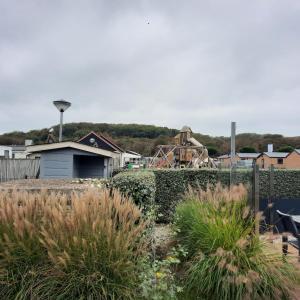 a garden with tall grass and a fence and houses at Zeeotter AanZee in Biggekerke