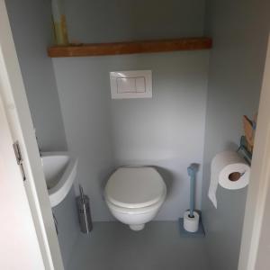 a small bathroom with a toilet and a sink at Zeeotter AanZee in Biggekerke +7 photos