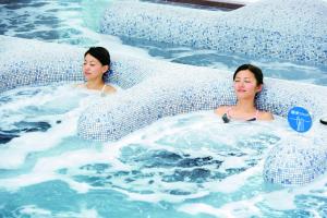 Hosté ubytování Akazawa Onsen Hotel
