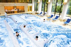 Bazén v ubytování Akazawa Onsen Hotel nebo v jeho okolí