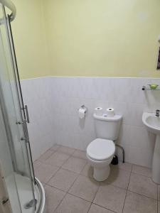 a bathroom with a toilet and a sink at The Ormerod in Burnley +5 photos