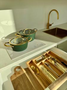 two pans sitting on a kitchen counter next to a sink at Järvemetsa Stay in Dejevo