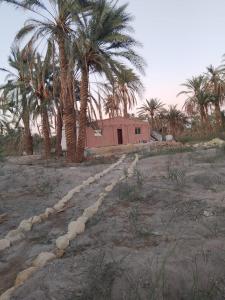a house in a field with palm trees and a road at Villa Rumi Siwa in Damshīt