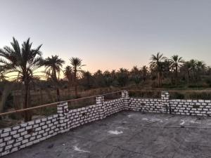 a brick retaining wall with palm trees in the background at Villa Rumi Siwa in Damshīt