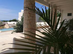 a palm tree in front of a house at Civico57 Torre Suda in Torre Suda