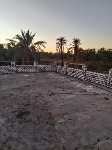 a stone fence with palm trees in the background at Villa Rumi Siwa in Damshīt +3 photos