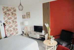 a bedroom with a bed and a couch and a tv at Charmant Studio, 2 personnes, 25 minutes du Zoo de Beauval in Montrichard
