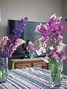 two vases with flowers on a table in front of a mirror at EcoSun Hostel in Montague