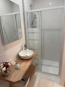 a bathroom with a sink and a shower at Loft 212 in Chitenay +32 photos